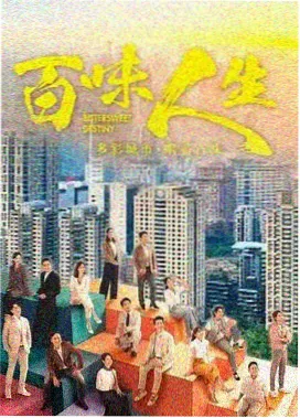 雾港夜航剧集封面